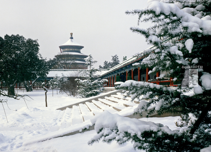 图片标题:     北京天坛雪景 图片编号:     dspd43107f30 授权方式