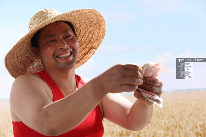 图片标题:     一个农民站在麦田里数钱 图片编号:     cpmh-36411f30